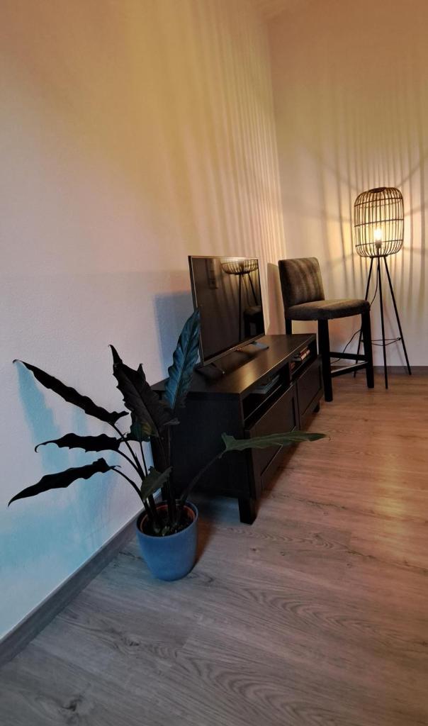 Waldstadt-Apartments photo 3