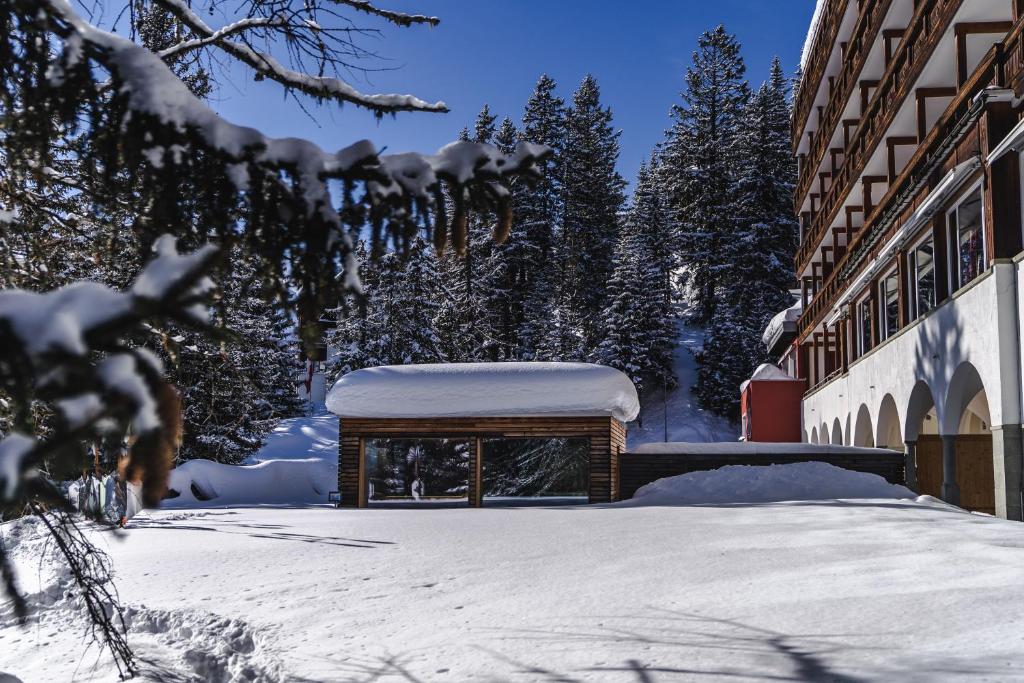 Blatter's Arosa Hotel & Bella Vista SPA photo 2