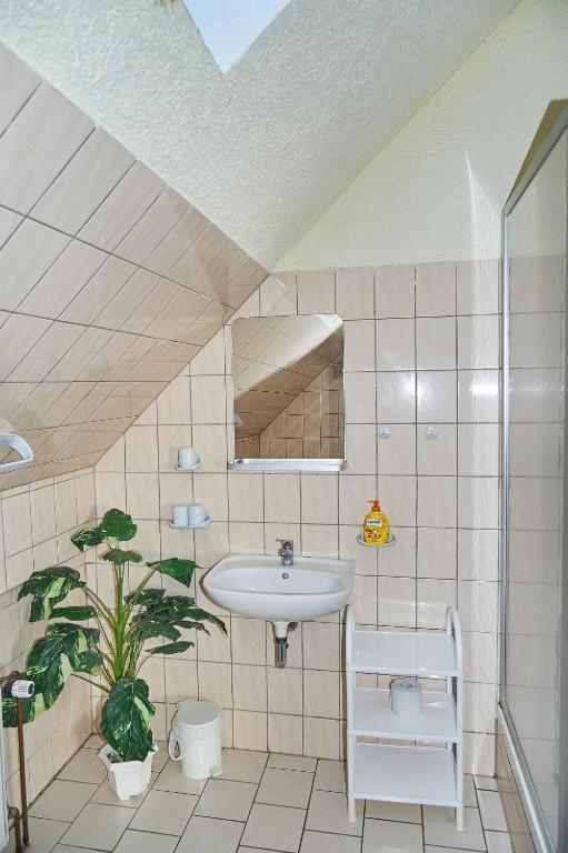 Schwalbenhof Wöllnau photo 3