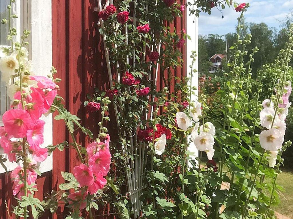 Holiday home FÅRBO II photo 3