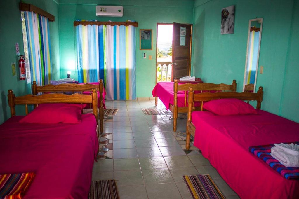 Hilltop Horizon Guesthouse photo 3