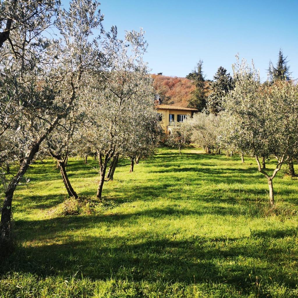 Podere delle Arti photo 1