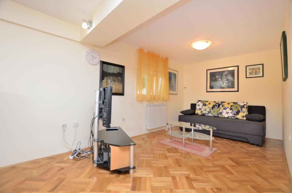 Apartment Visnja photo 3