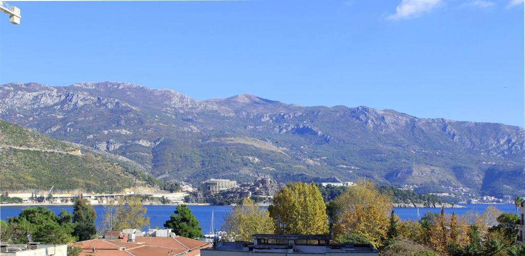 Apartments Ivanovic photo 1