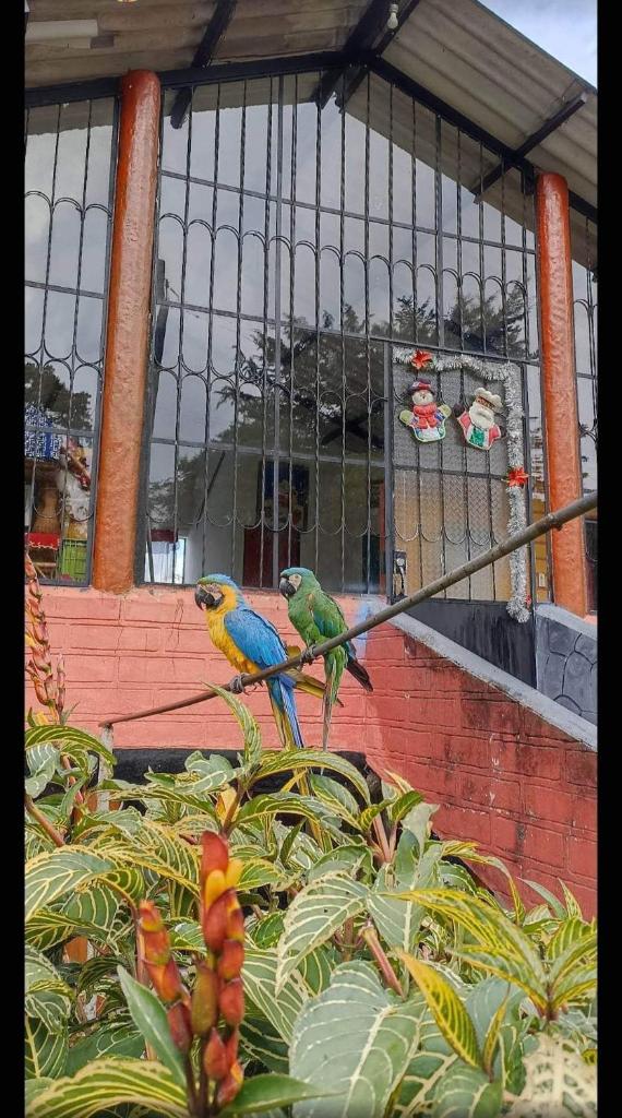 Finca la cristalina photo 1