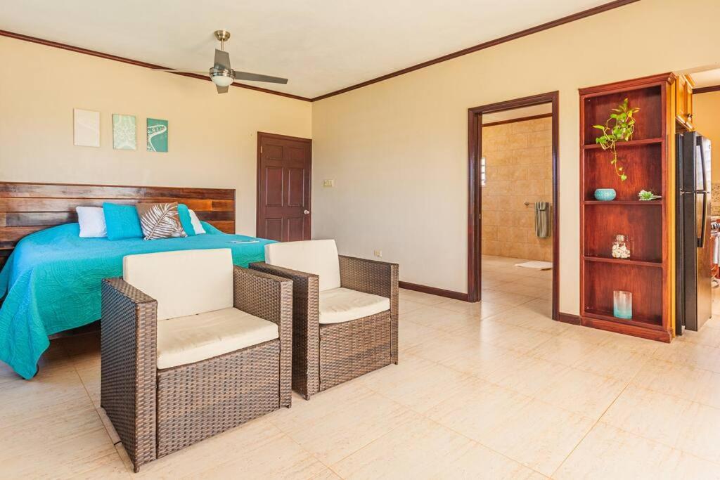 The Junior Suite's "Palm Studio Apartment" photo 2