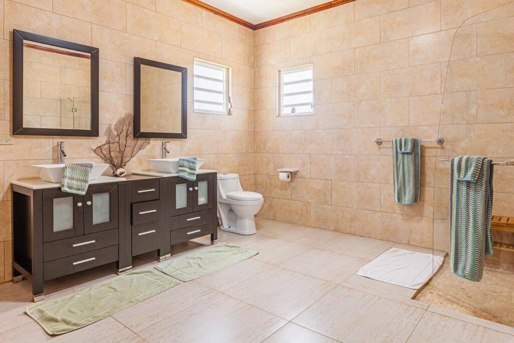 The Junior Suite's "Palm Studio Apartment" photo 4