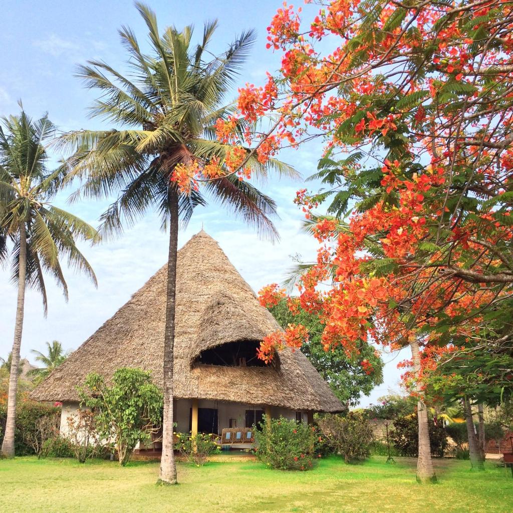 Villa Palm