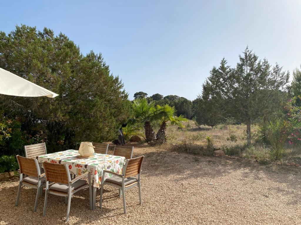 Ses Oliveres photo 4