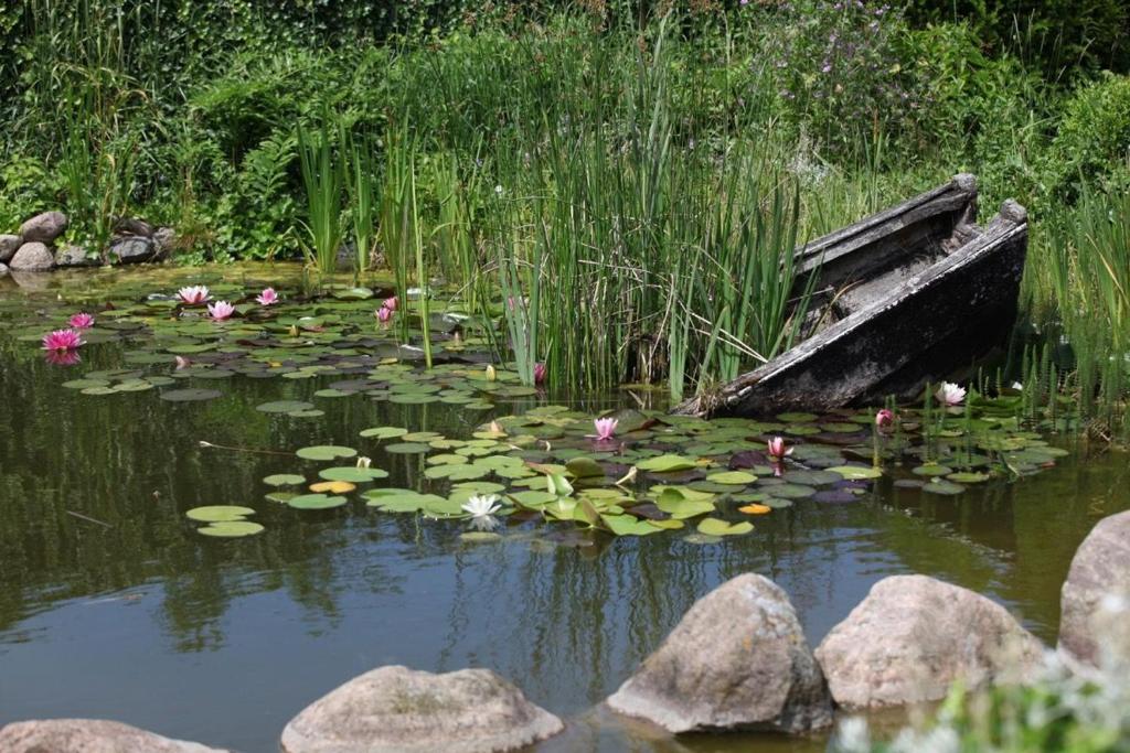 Ferienhaus Jule photo 3