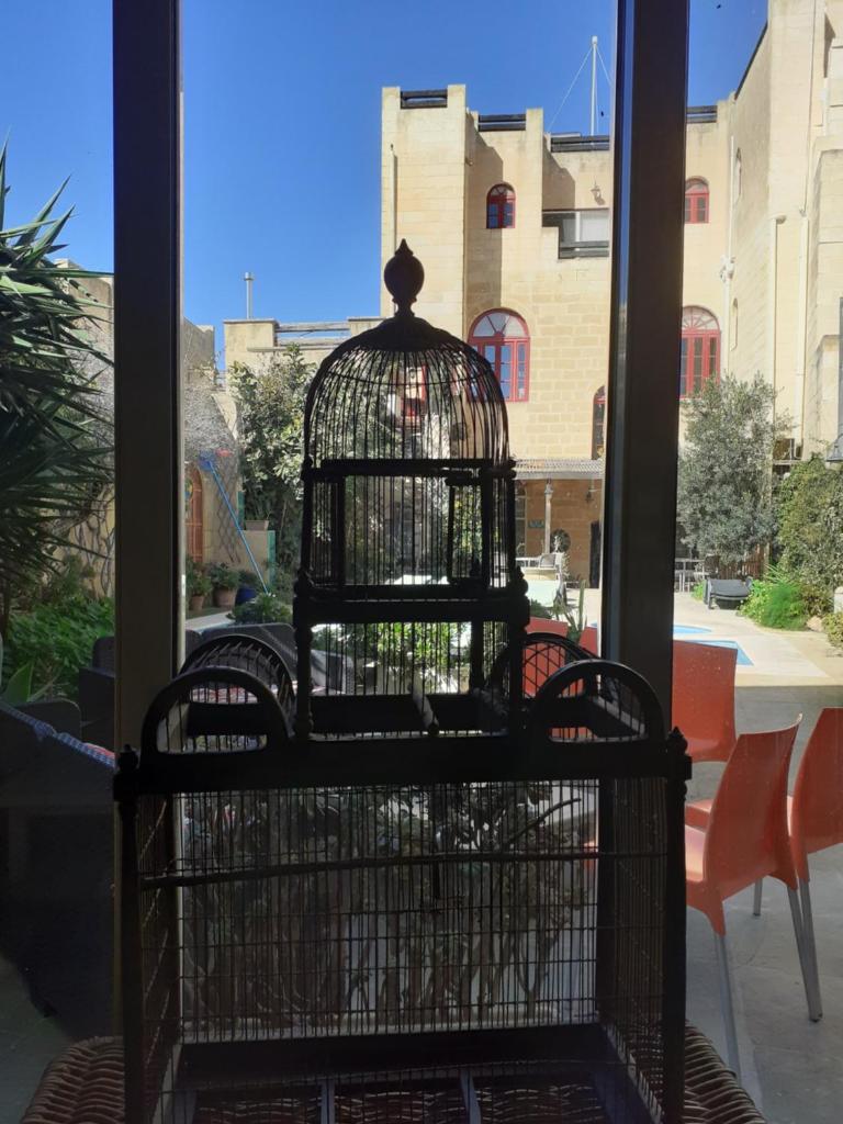Charming B&B Dar Ta Zeppi photo 4