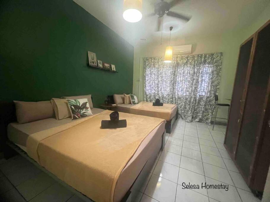 THE GREEN @SELESA HILLHOMES BUKIT TINGGI BENTONG photo 2