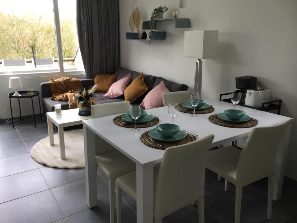 Les terrasses de Malmedy duplex 420 photo 1