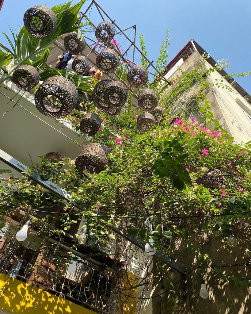 Chủ Nhật Cafe & Homestay