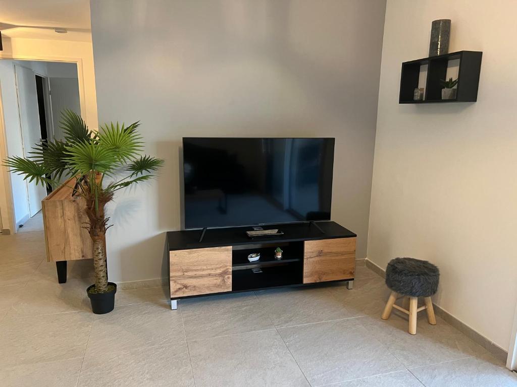 Superbe appartement résidence neuve en bord de mer photo 4