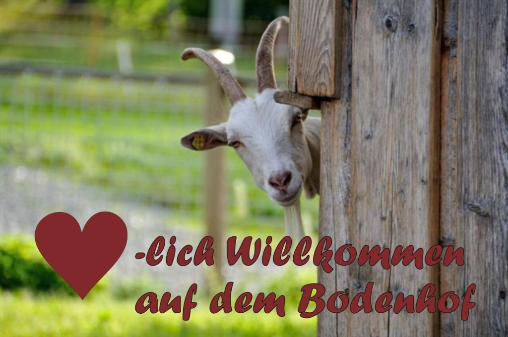 Bodenhof Ferienwohnungen photo 3
