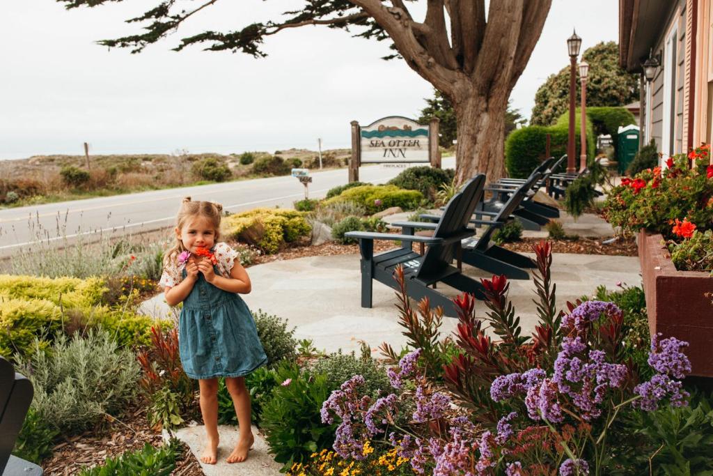 Sea Otter Inn photo 1