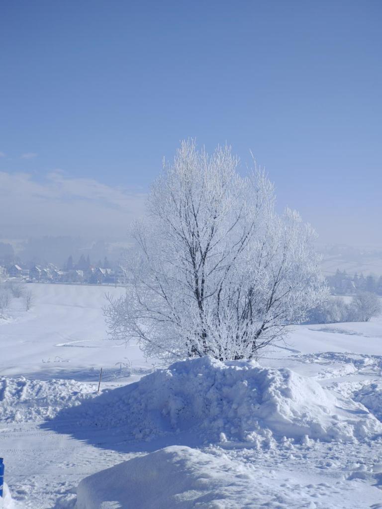 U Chowańców photo 2