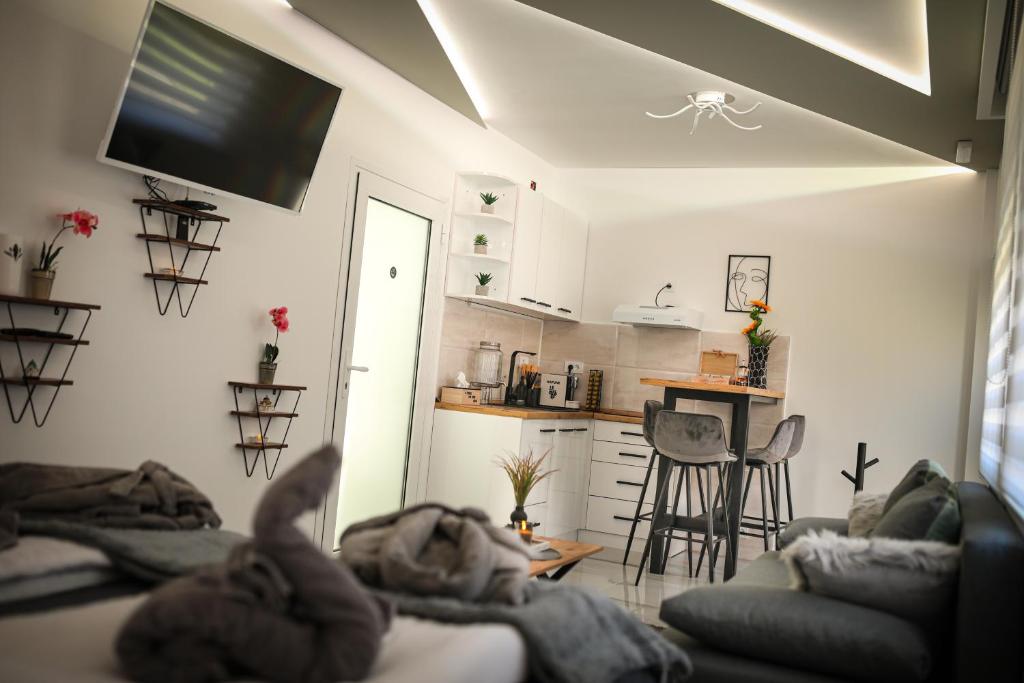 LV Spa & Apartment photo 3