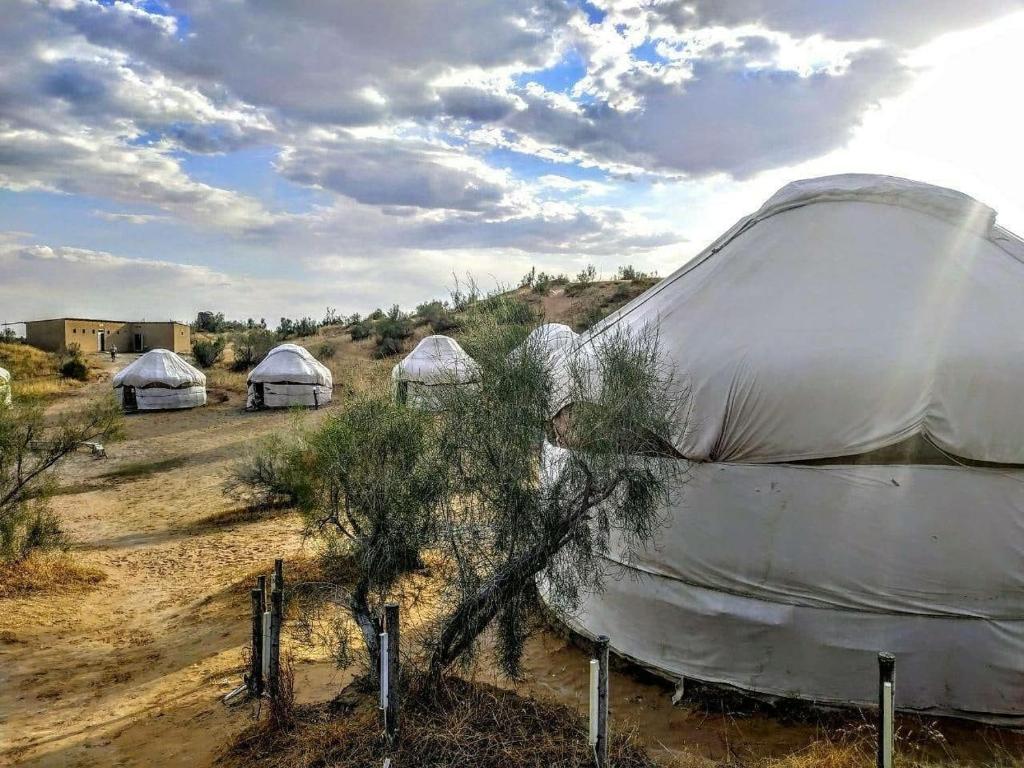OXUS ADVENTURE YURT CAMP photo 2