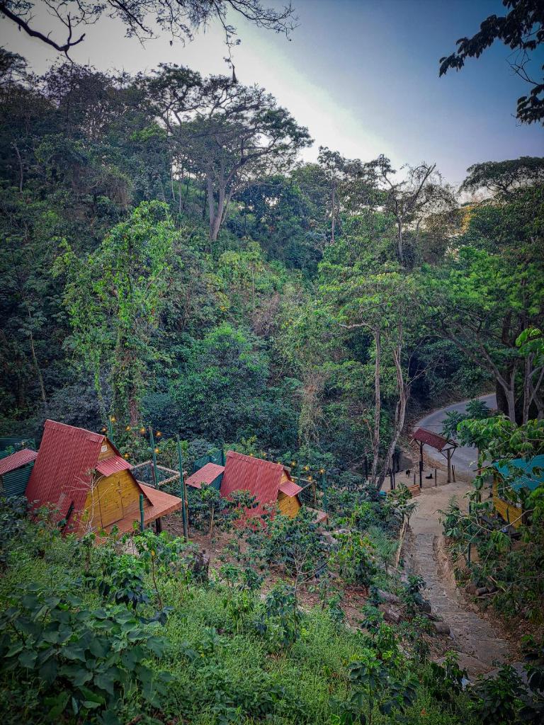 Mini Cabaña TANOA photo 2