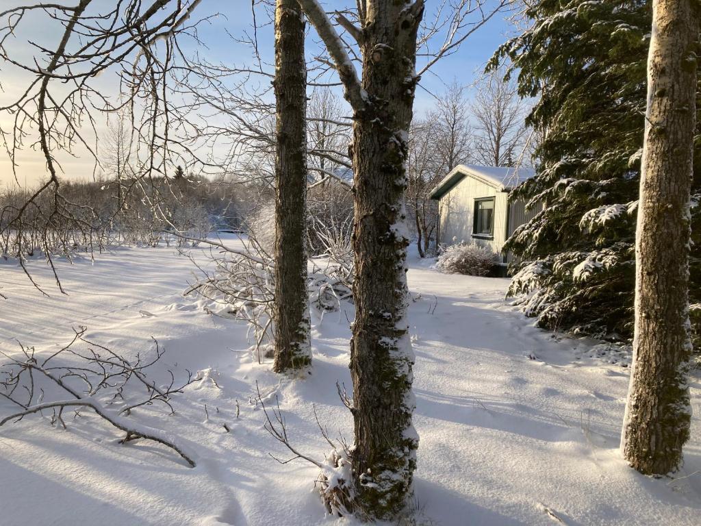 Enchanting country home with backyard hotspring photo 2