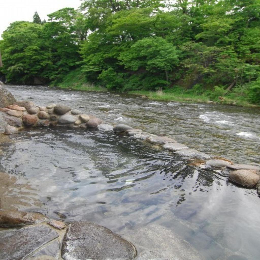 Fujisan Ryokan photo 4