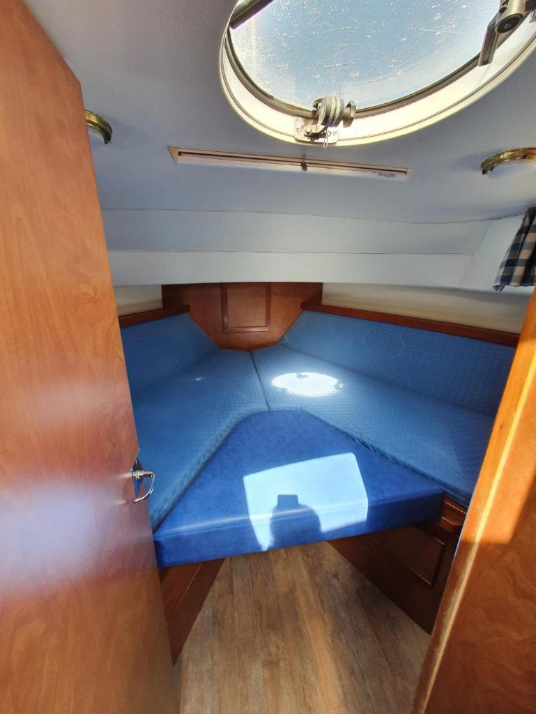 Magnifique bateau au coeur du Nivernais à l'étang de BAYE photo 2