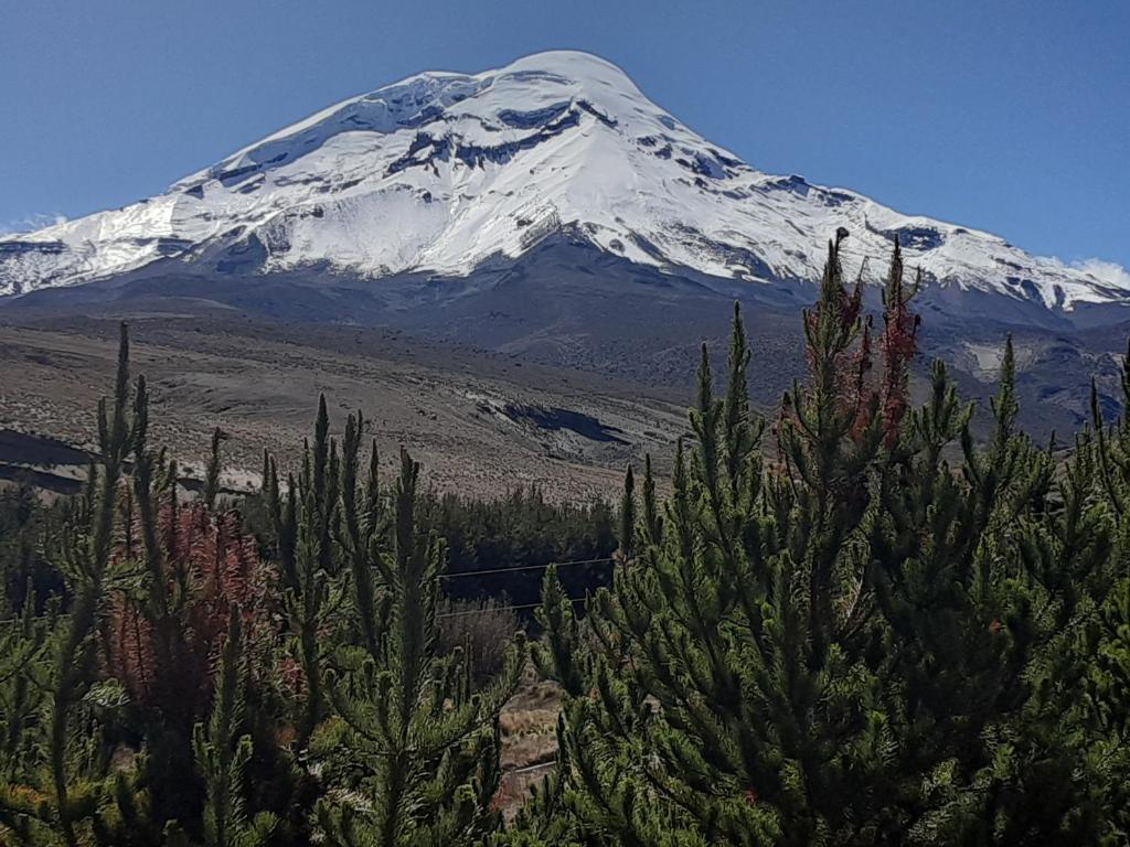 Hospedaje Chimborazo photo 3
