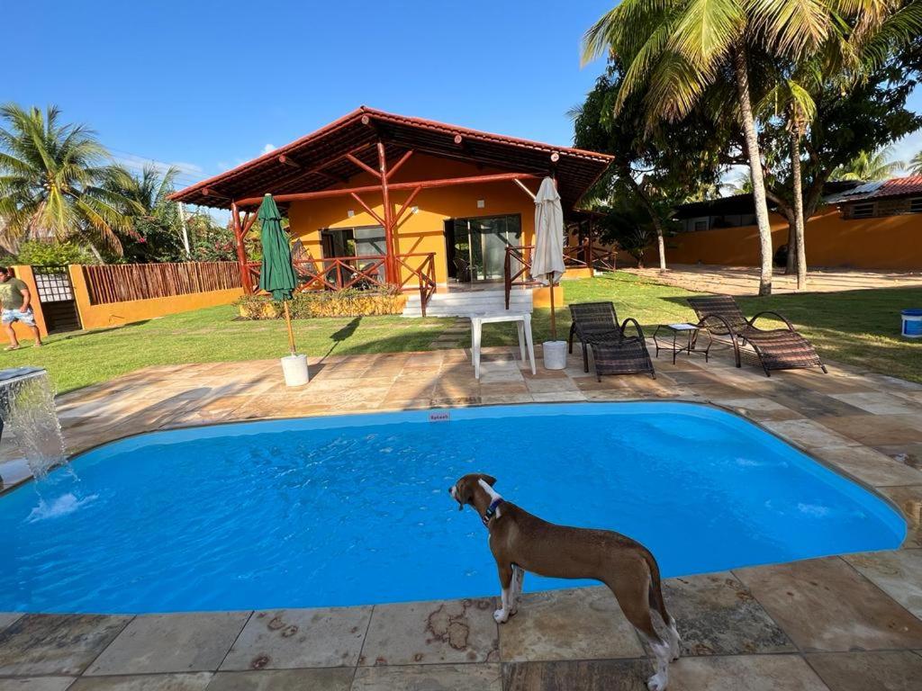 Fabulous 5 bedroom villa in Japaratinga photo 4