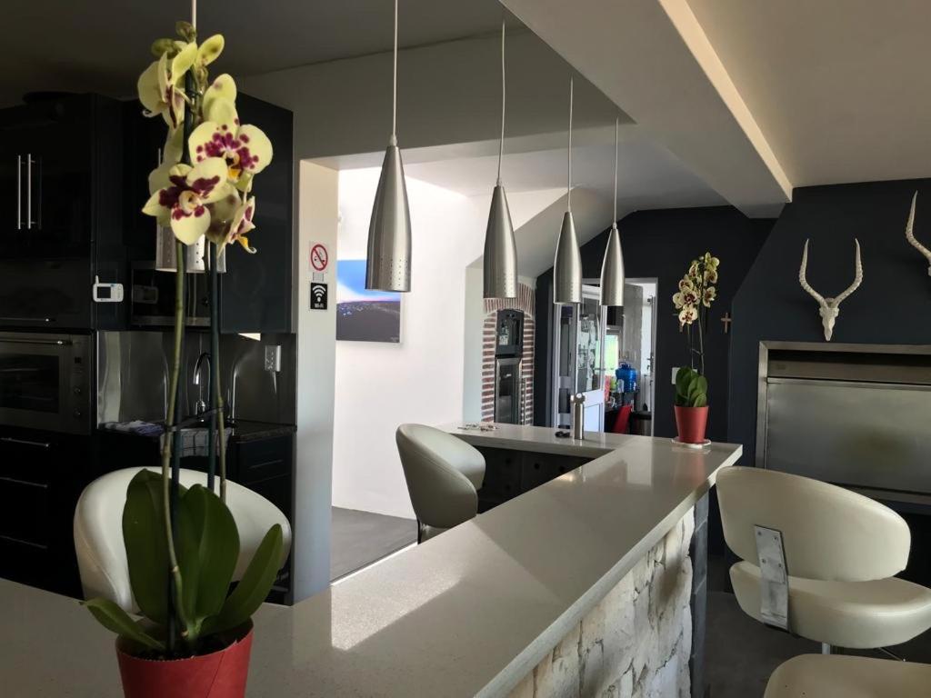 La Maison Bleue, luxury self-catering villa. photo 4