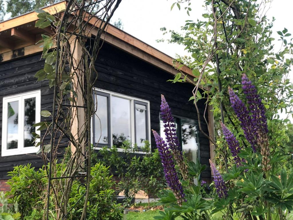 Bed & Breakfast Bij de Wilg photo 3