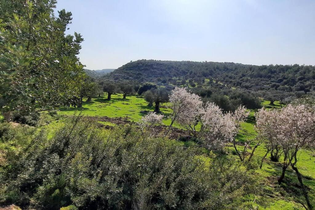 עין הוד בית בטבע עם בריכה שקט נוף מדהים להר ואדי והים photo 3