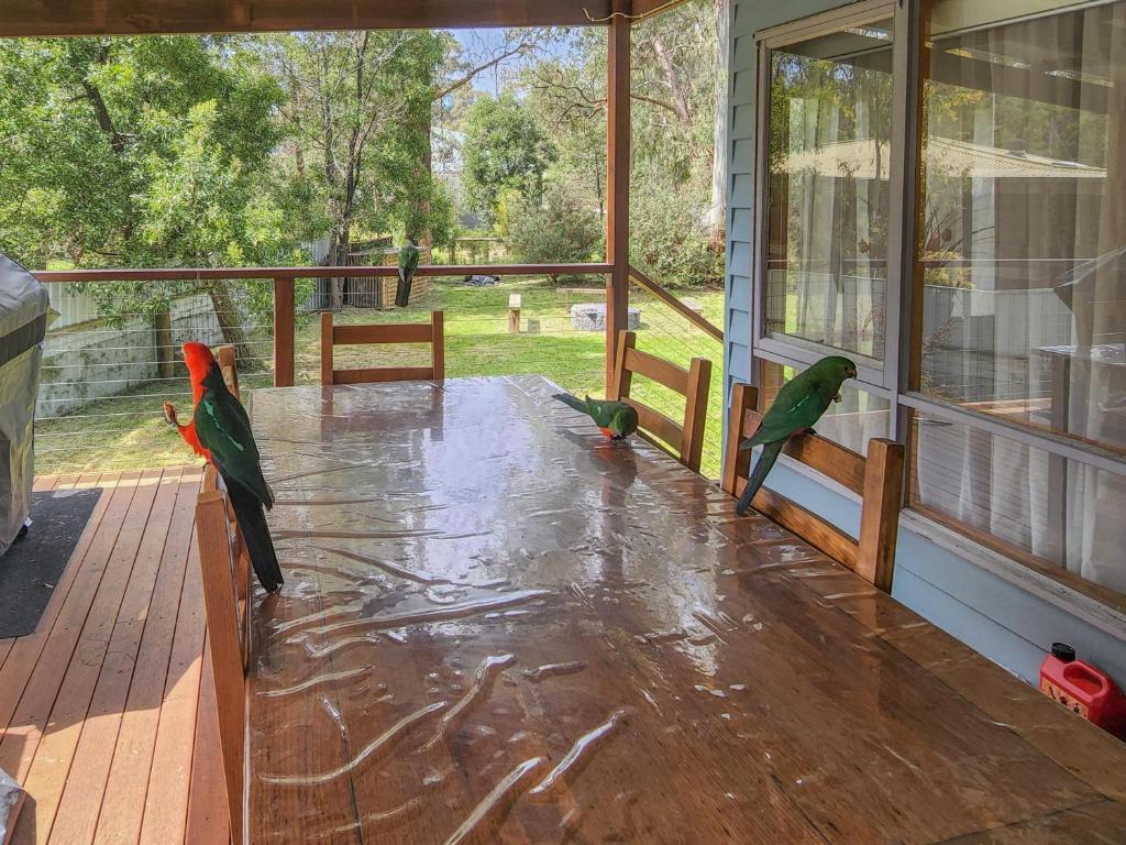 Settlement Lodge photo 2