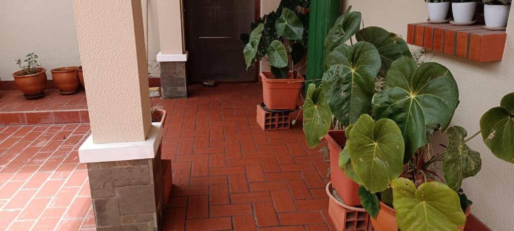 Casa de huespedes San Jorge photo 3