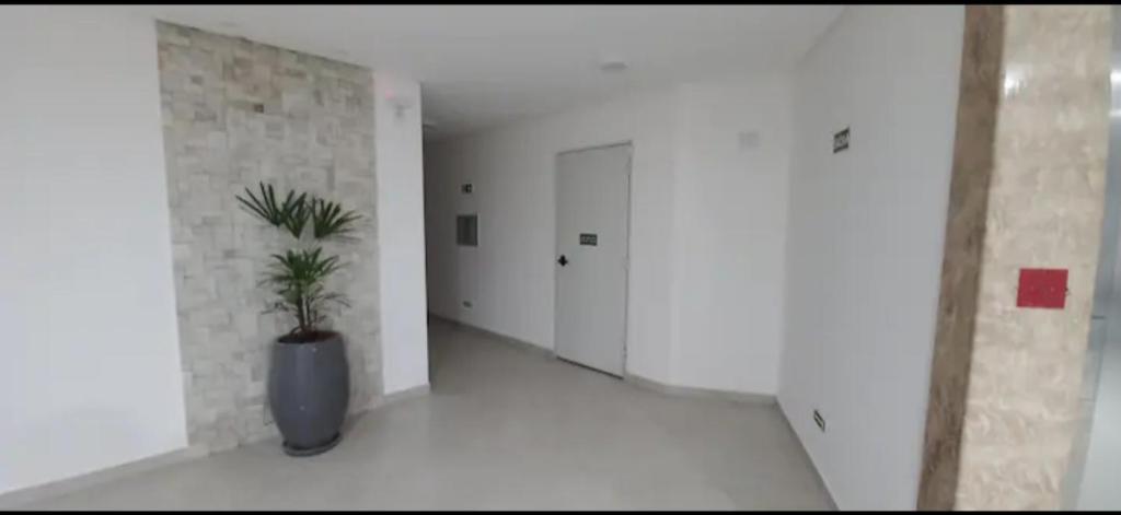 Studio São Rafael photo 3
