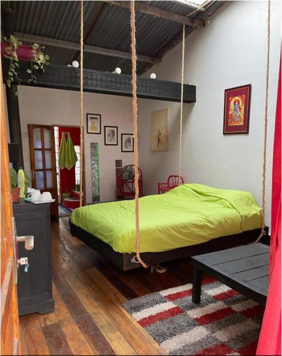 Bamboo Lodge photo 1