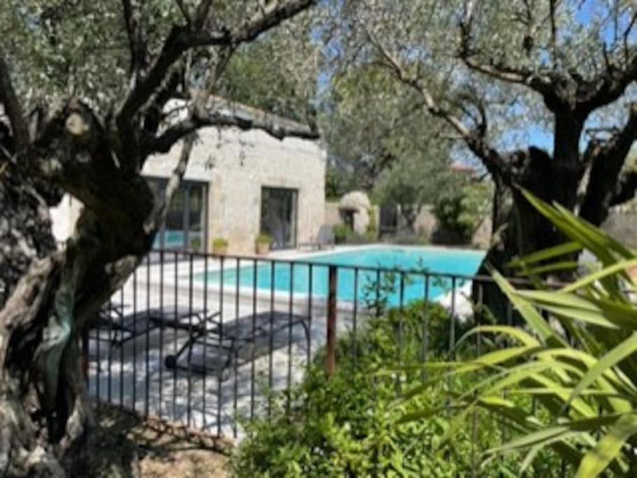 Mas Livie - Thumbnail image