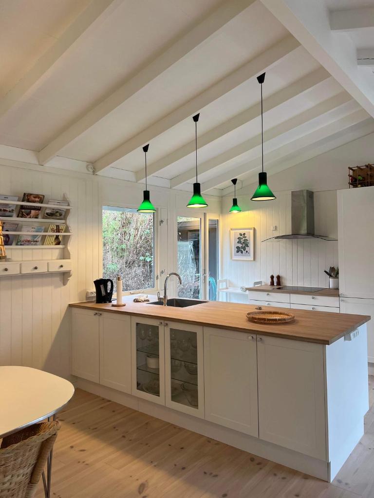 Nyistandsat sommerhus i Hornbæk,tæt på vand og by photo 2