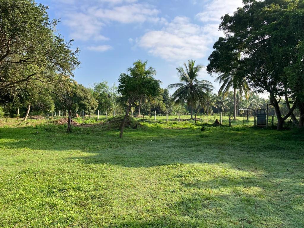 Nuwara Wewa Holiday Resort photo 2