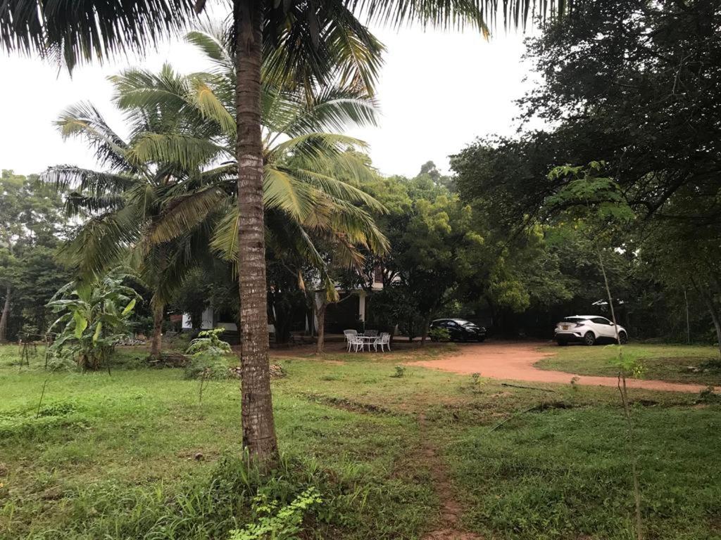 Nuwara Wewa Holiday Resort photo 1