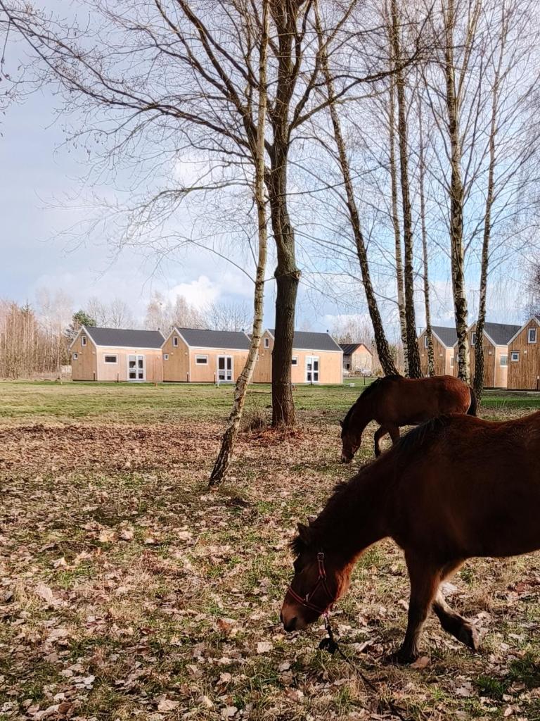 ZAGAJNIK Country Camp obok Suntago photo 4