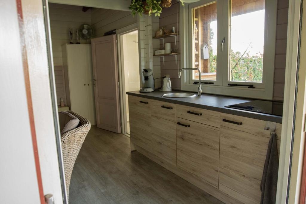 Chalet Ben in Broek photo 2