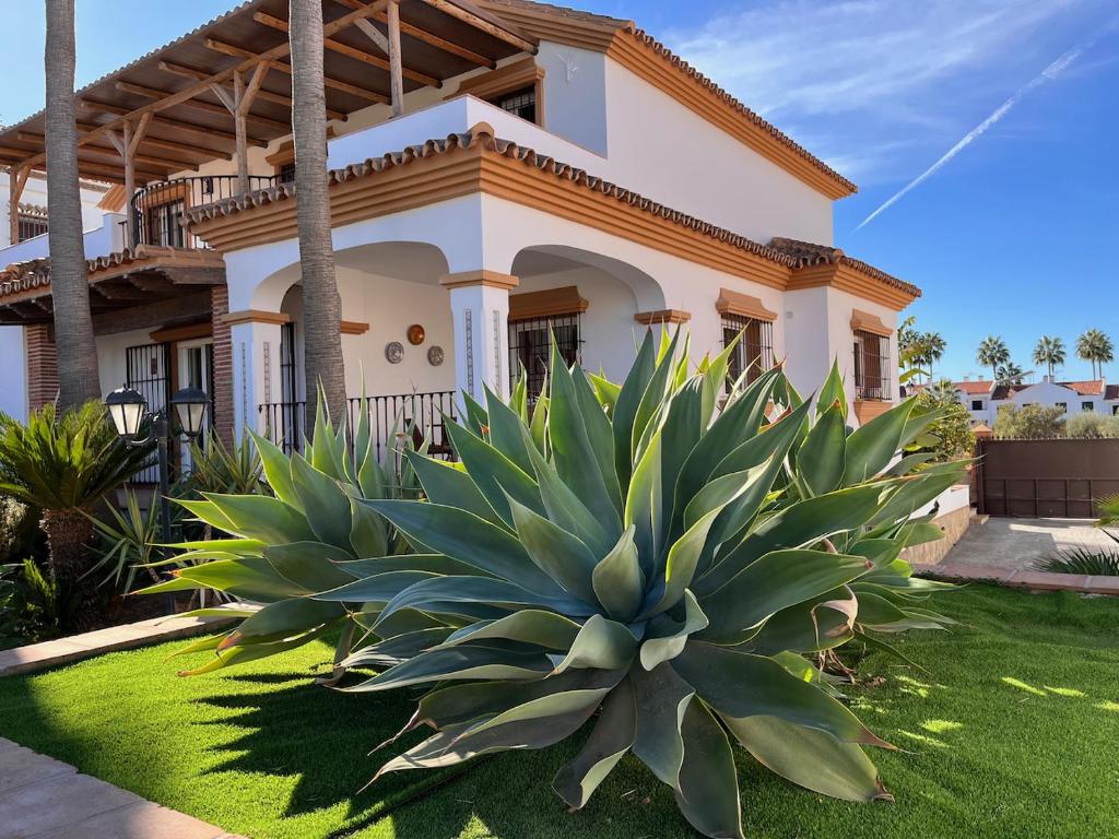 Casa Limon, boutique Bed and Breakfast, Andalucia photo 4