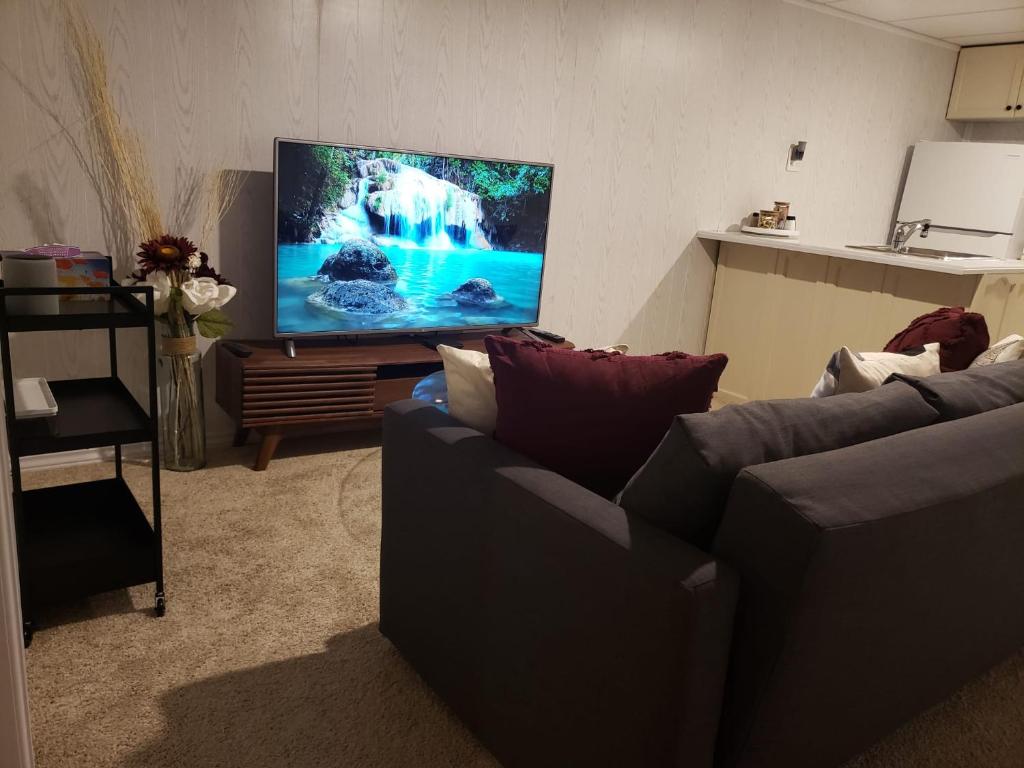 Choose 1of 2 entire appart- 1BR-1sofa bed king size-free prkg- city of falls!