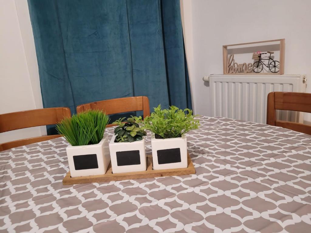 Boissy Gare RER A Appartement 1 à 3 chambres au choix