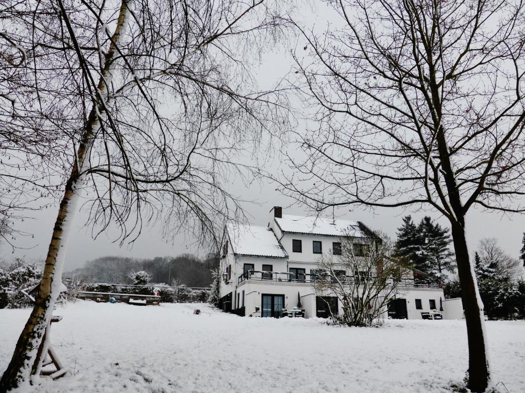 Villa Witte Lelie photo 4