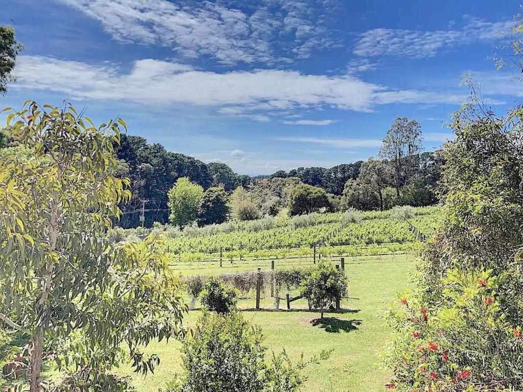 Red Hill Lane 5BedroomVineyard&RuralValleyViews photo 3
