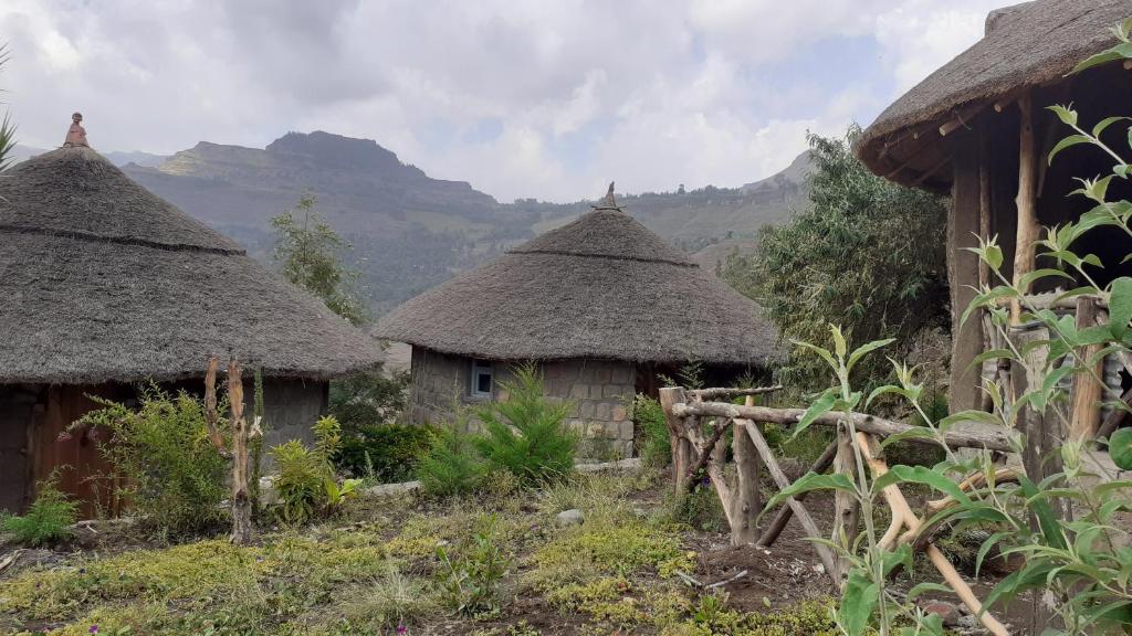 Bethan Amba ecovillage photo 2