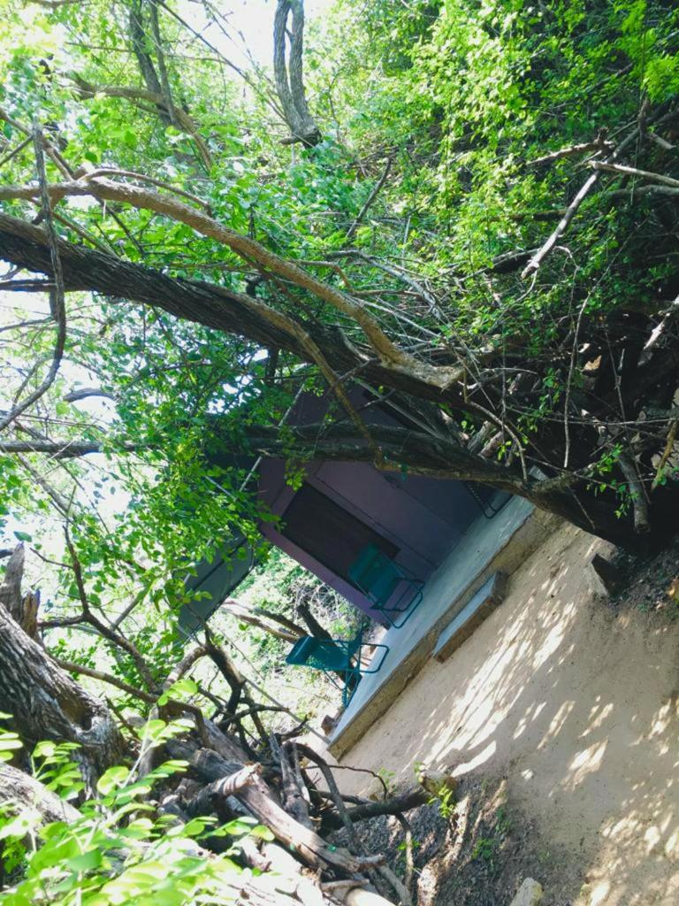 Magical Tented Lodge in Yala- Thissamaharamaya photo 3